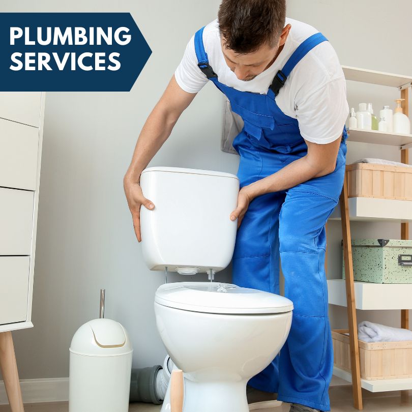 Plumbing Company in Glen Ellyn, IL